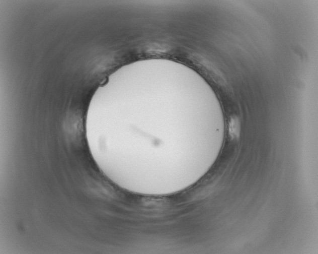 X0000115501299200911271401