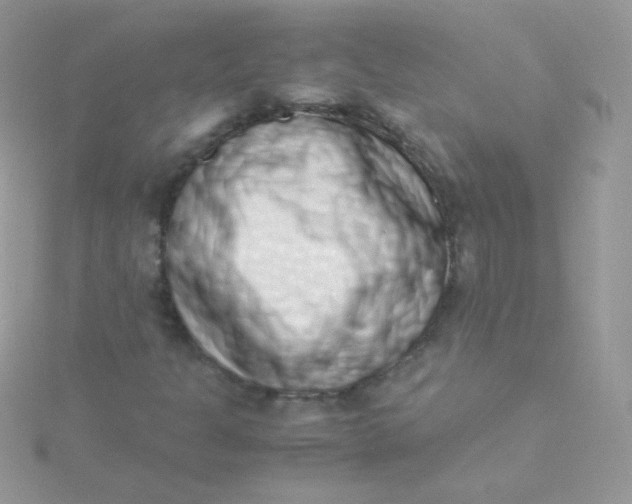 X0000115501301200911271401