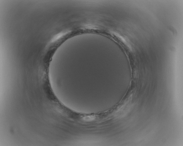 X0000115501303200911271401