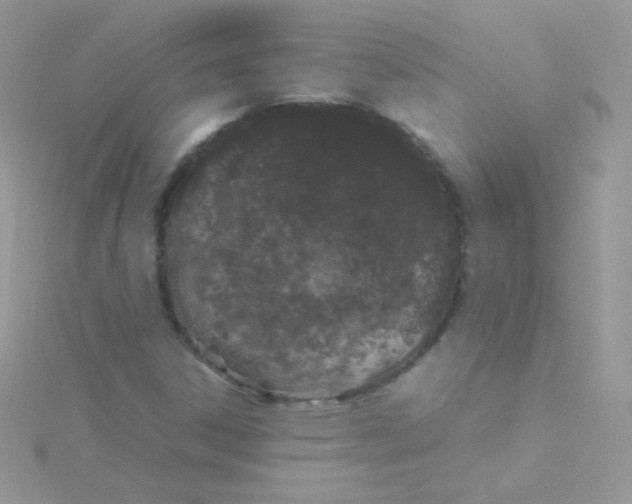 X0000115501306200911271401