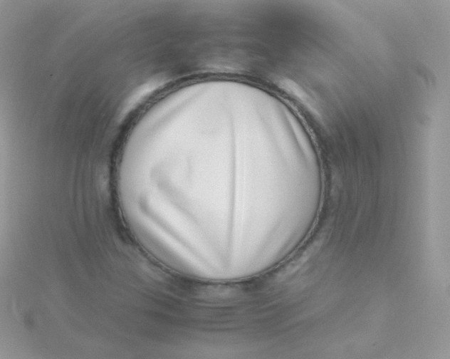 X0000115501307200911271401