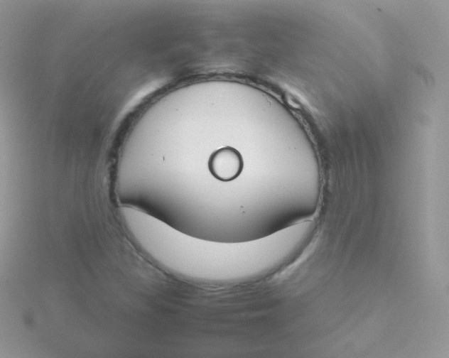 X0000115501309200911271401