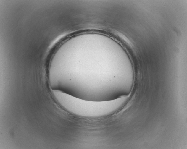 X0000115501310200911271401