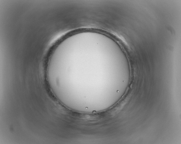 X0000115501311200911271401