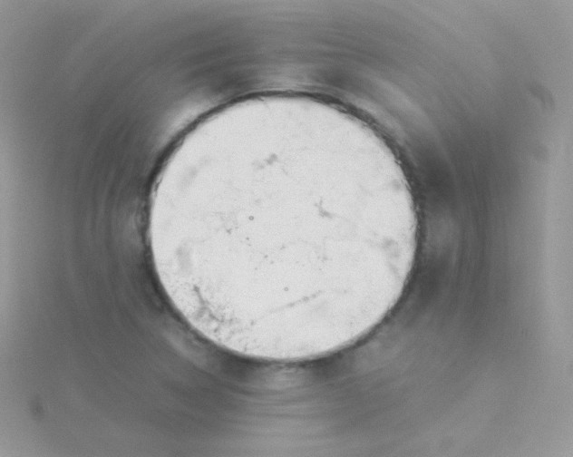 X0000115501314200911271401