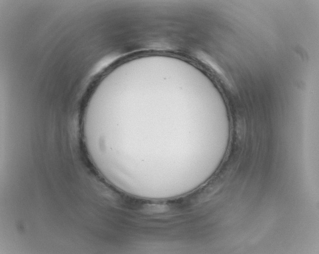 X0000115501315200911271401