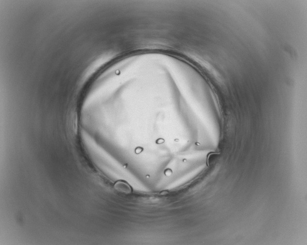 X0000115501317200911271401