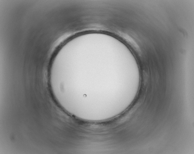 X0000115501318200911271401