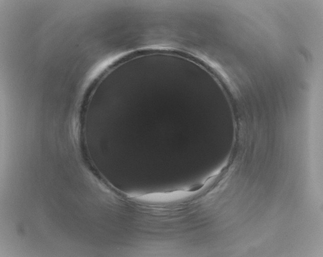 X0000115501319200911271401