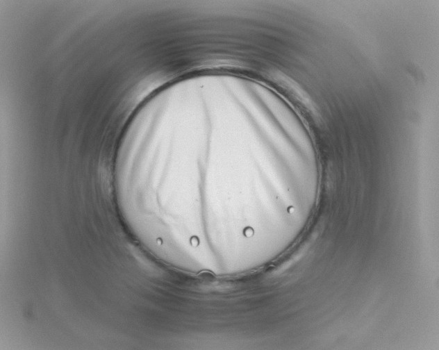 X0000115501321200911271401