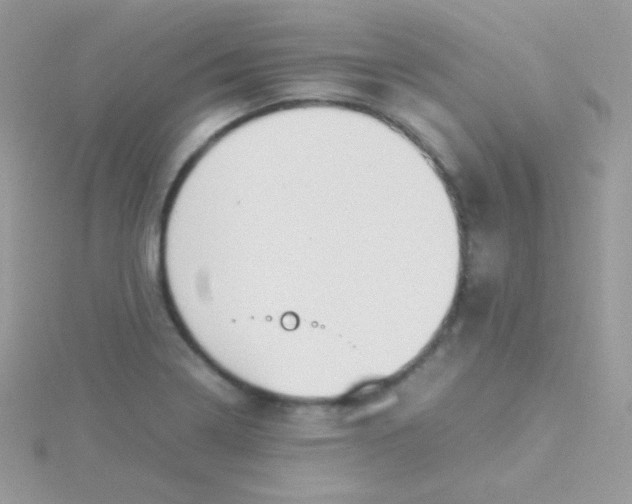 X0000115501322200911271401