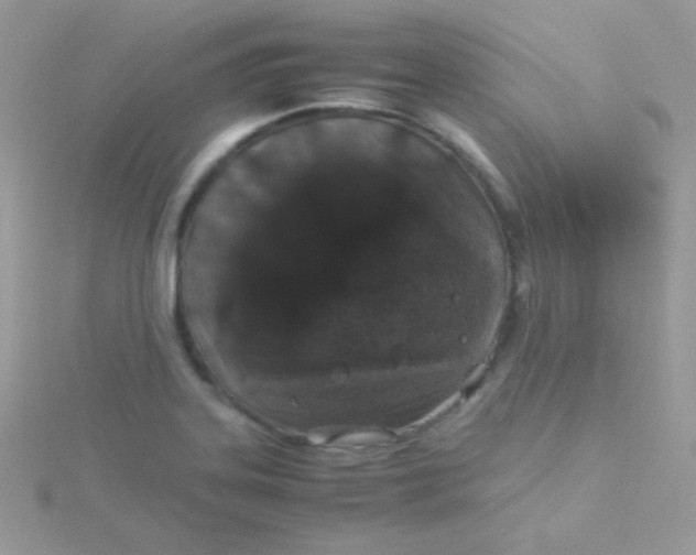 X0000115501323200911271401