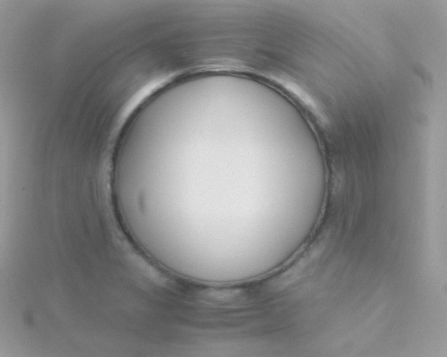 X0000115501325200911271401