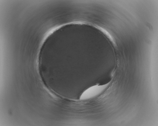 X0000115501327200911271401