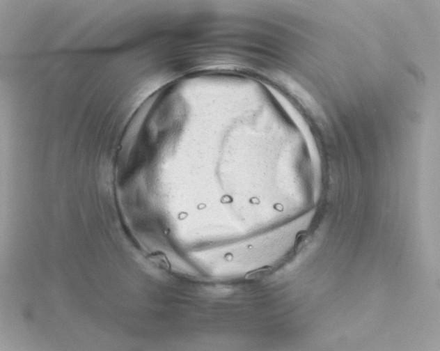 X0000115501329200911271401