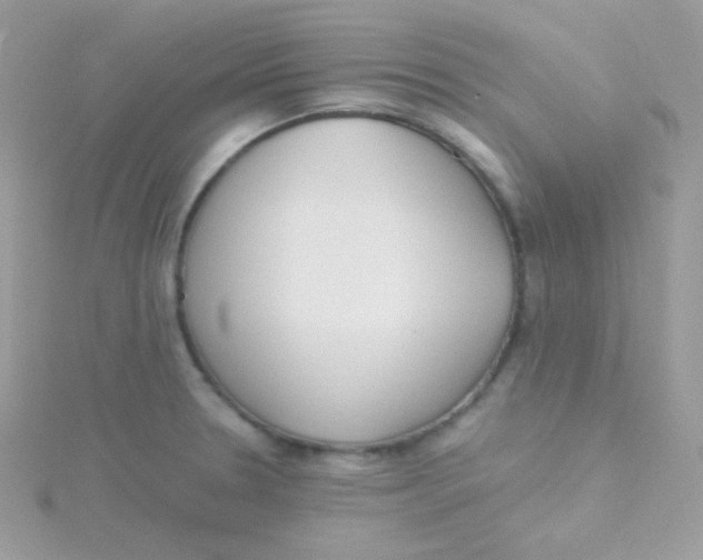 X0000115501330200911271401