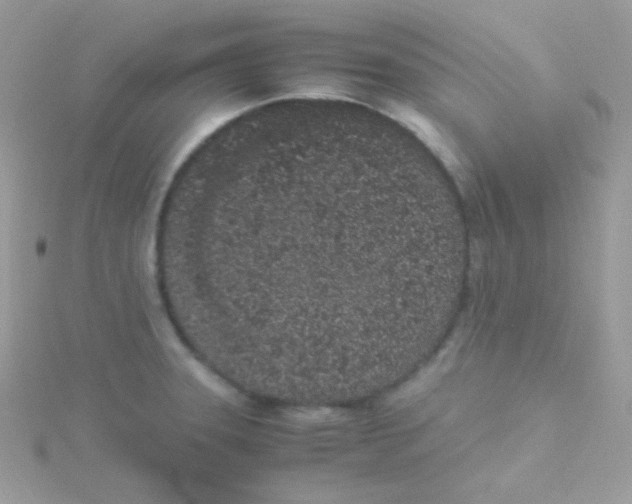 X0000115501331200911271401