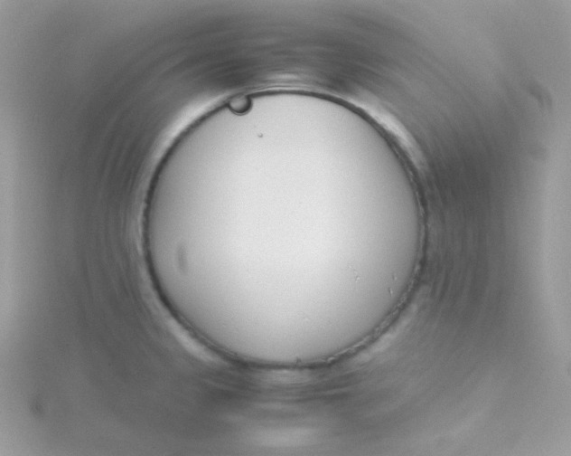 X0000115501333200911271401