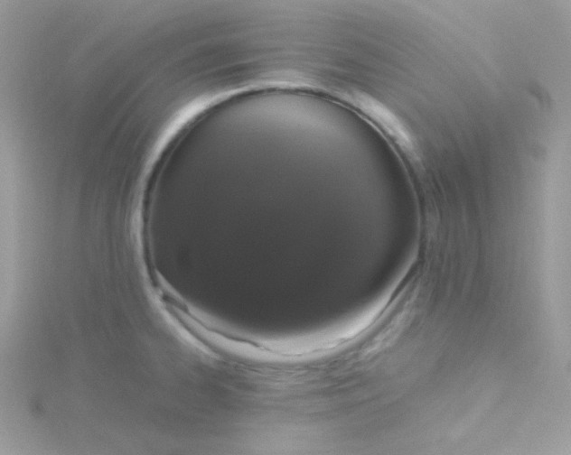 X0000115501334200911271401