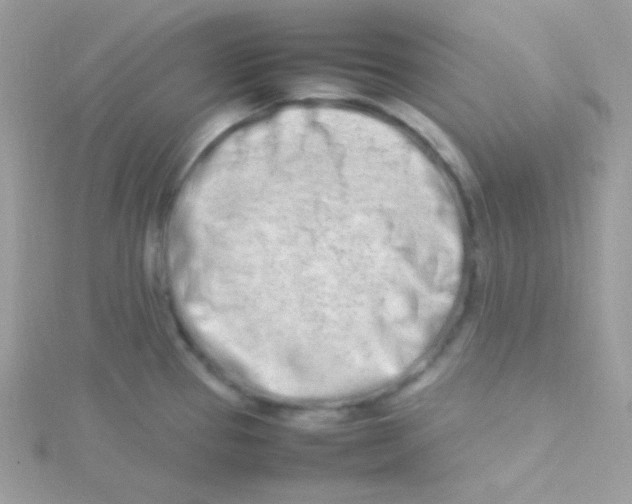 X0000115501337200911271401