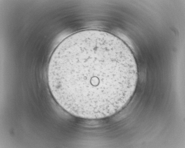 X0000115501338200911271401