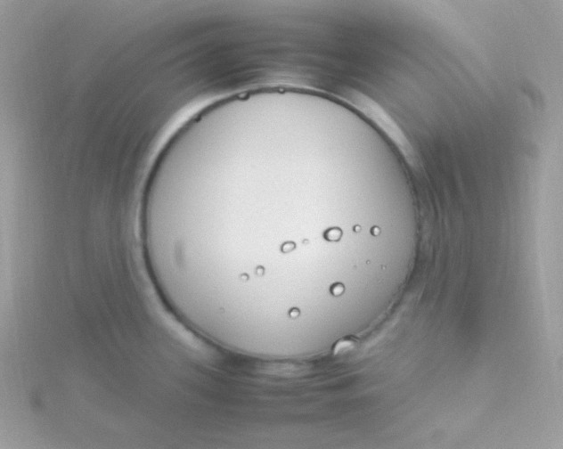 X0000115501339200911271402