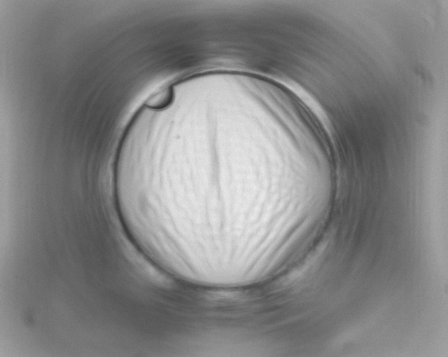 X0000115501341200911271402