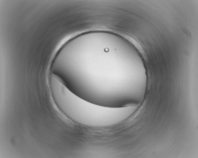 X0000115501342200911271402