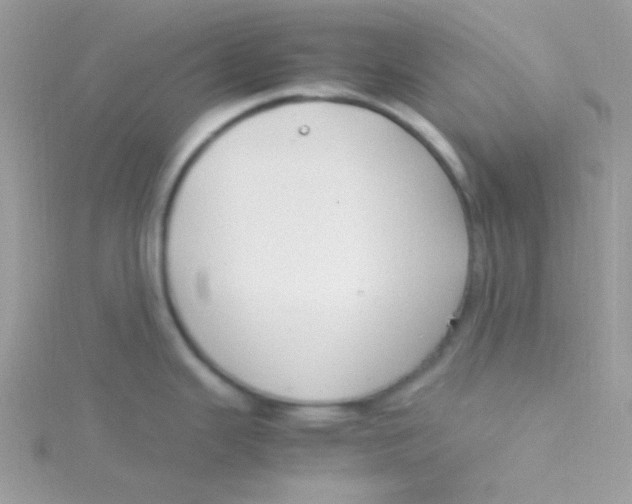 X0000115501343200911271402