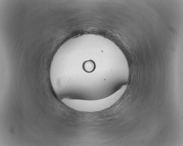 X0000115501345200911271401