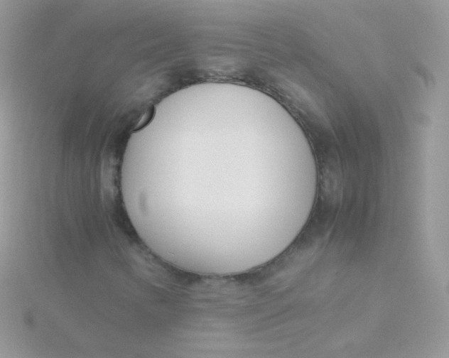 X0000115501346200911271401