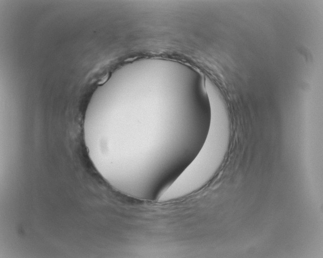 X0000115501349200911271401