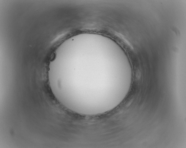 X0000115501350200911271401