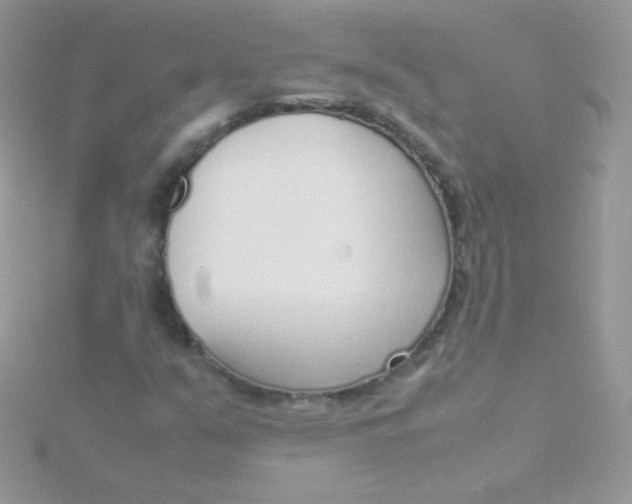 X0000115501351200911271401