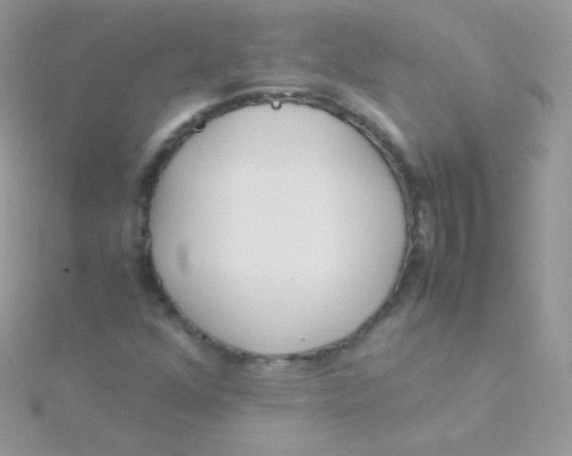 X0000115501352200911271401