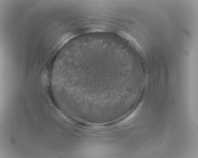 X0000115501353200911271401