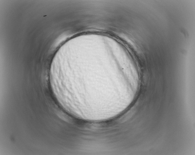 X0000115501355200911271401