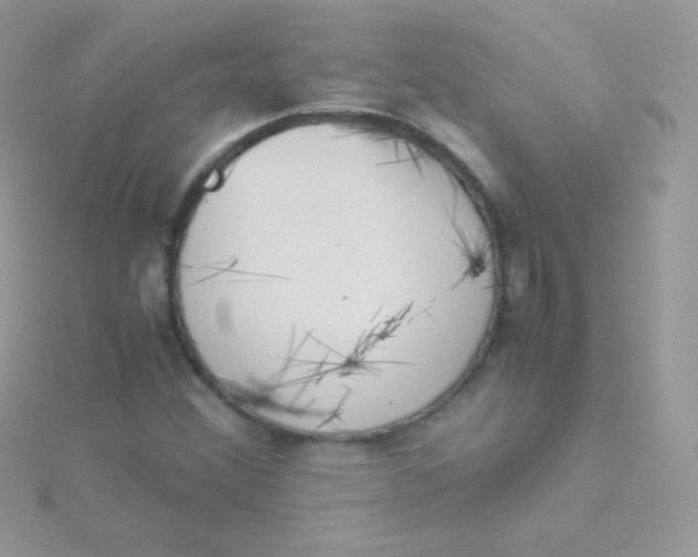 X0000115501356200911271401