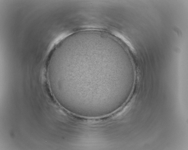 X0000115501357200911271401