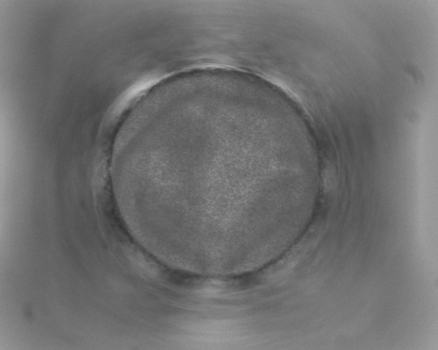 X0000115501359200911271401