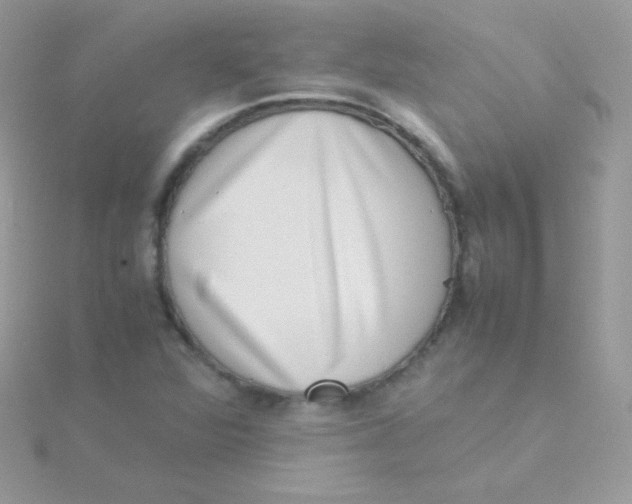 X0000115501360200911271401