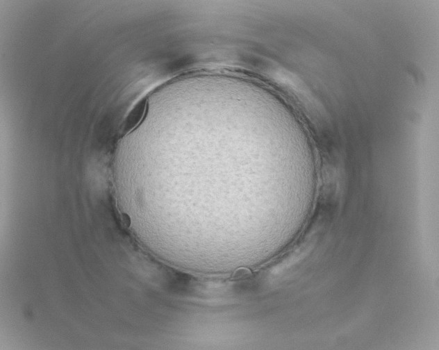 X0000115501361200911271401