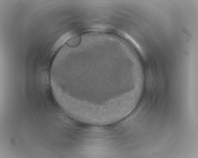 X0000115501362200911271401