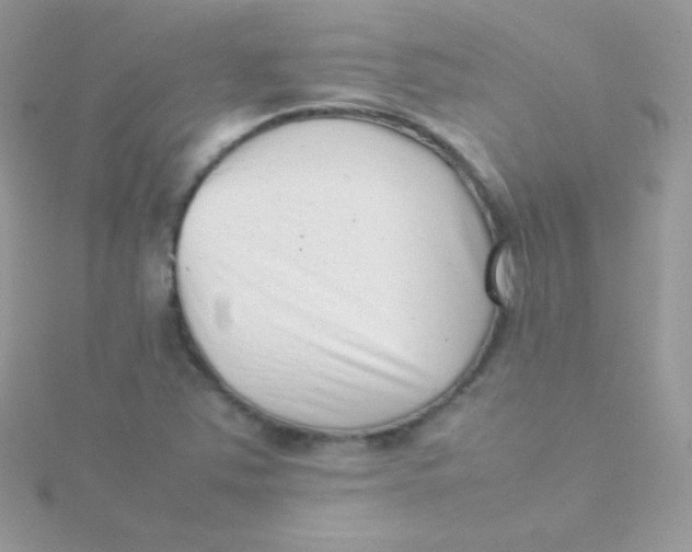 X0000115501363200911271401