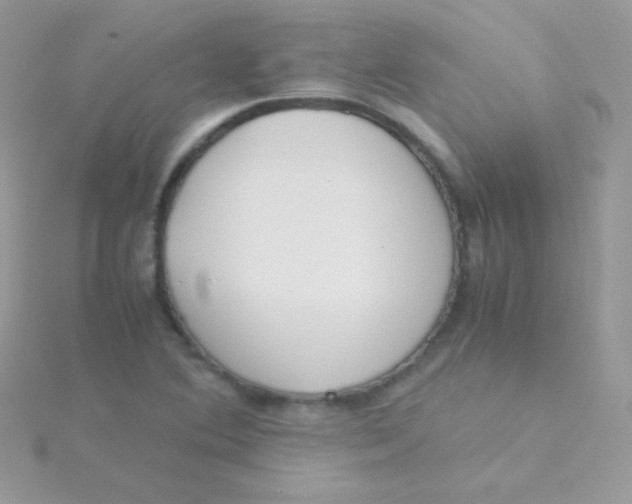 X0000115501364200911271401