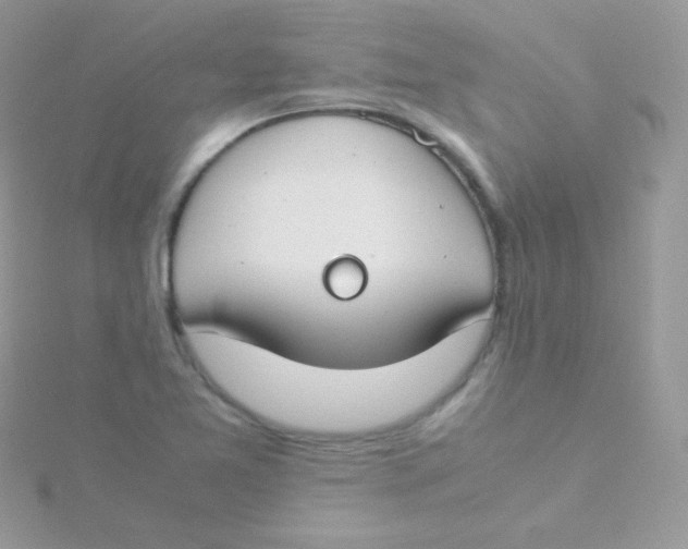 X0000115501365200911271401