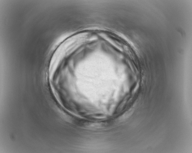 X0000115501367200911271401