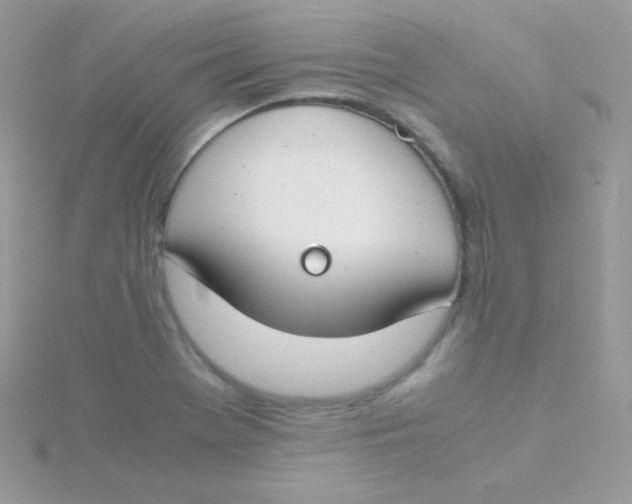 X0000115501369200911271401