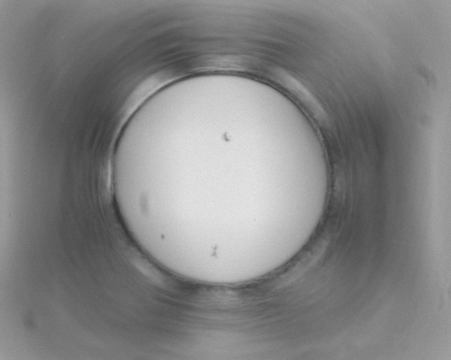 X0000115501370200911271401