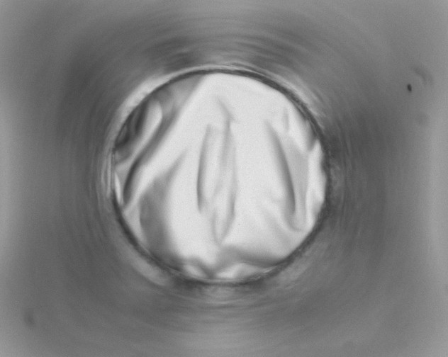 X0000115501371200911271401